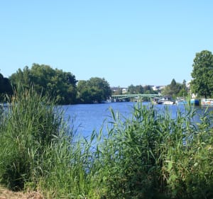 Balade en VTC au lac de Grand-Lieu - La Chevrolière - 2