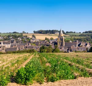 Au coeur de Saint-Suliac par ses vignobles et son histoire - Saint-Suliac - 2