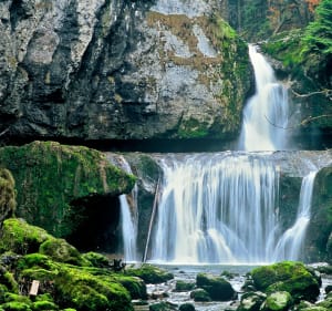 Excursion entre Cascade de la Billaude et étang des Pêchettes - Le Vaudioux - 3