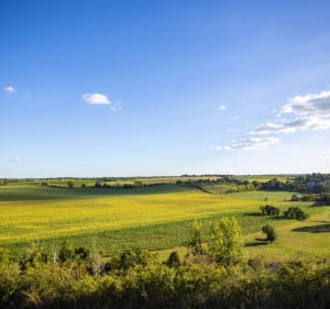 Évasion sensorielle à Ambérieux-en-Dombes - Ambérieux-en-Dombes - 2
