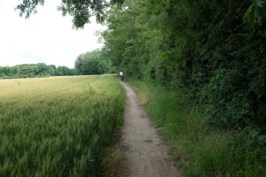 Montreuil à Brunoy, entre Seine et bois - Montreuil - 2