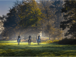 Des Glycines à la Porte Noire, Longueville à VTT - Normandie - 3