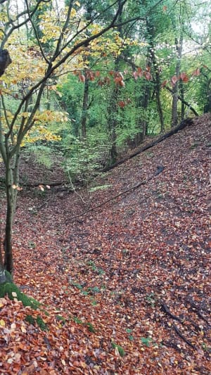 Oppidum de malassy et panoramas sur l'Epte - Gasny - 2
