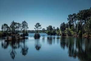 Terres noyées, au vent, des landes et pinèdes - Jour 1 - Bordeaux - 2
