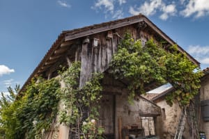 Monteton, randonnée vers les bois de Chavaneau - SirtAqui - 2