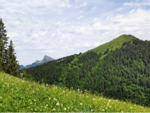 Bec Charvet et panoramas sur les sommets de la Chartreuse - Col du Coq, Plateau-des-Petites-Roches - 2