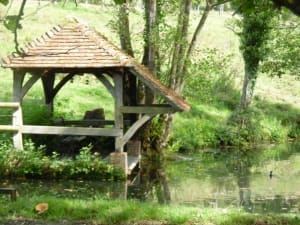 Mise au vert à Saint-Georges-en-Auge et fun dans le bocage - Saint-Pierre-en-Auge (Saint-Georges-en-Auge) - 2