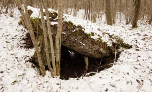 Sentier du Fort de Vaux et renaissance d'une forêt - Damloup - 2