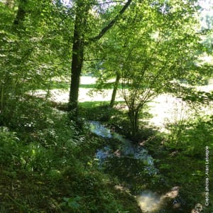 À travers la vallée de l'Orange - Fourneville - 2