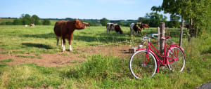 Médréac à vélo, au pays de dresseurs de menhirs - Médréac - 2