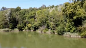 Mégalithes et lacs sur la petite boucle en forêt de Carnelle - Presles - 2