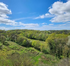 Découverte de Gif-sur-Yvette et sa forêt somptueuse - Bures-sur-Yvette - 2