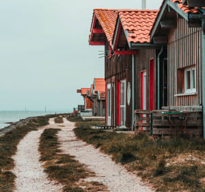 Immersion à Lanton dans les pinèdes et beauté du bassin d'Arcachon - Lanton - 2