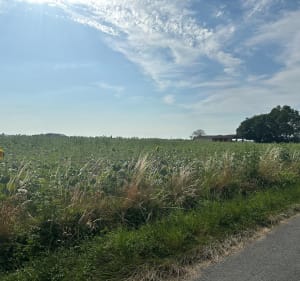 Balade aux alentour de Blan - Blan - 2