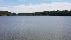 Etangs de Hollande et bain d'oxygène en vallée de Chevreuse - Les Bréviaires - 2