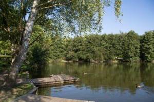 Charmes de la campagne de Maurepas et douce virée en forêt - Maurepas - 4
