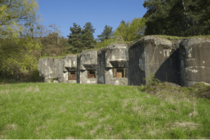 Etangs de Condé-sur-l'Escaut et chant des oiseaux - Condé-sur-l'Escaut - 2