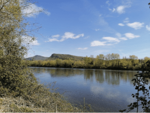 Saint-Genix-sur-Guiers et son petit coin de paradis sauvage - Saint-Genix-sur-Guiers - 4