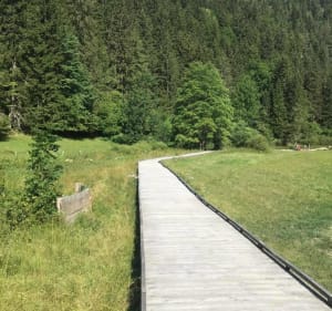 Méaudre - Villard-de-Lans et filer au gré du vent au Vercors - Jean-marie - 2