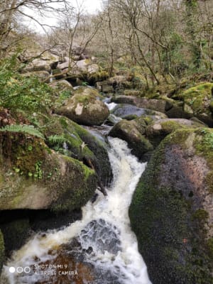 Sauvages landes de Locarn et impétueuses gorges du Gorong - Locarn - 2