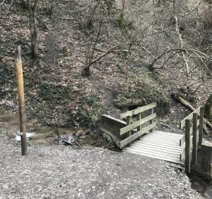 Tour du bois de Pératière depuis Poisat - Poisat - 2