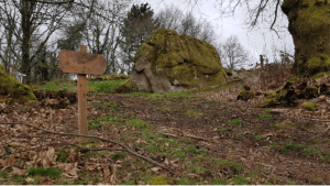 Châteauponsac et ses merveilles par l'Osmonde Royale - Châteauponsac - 2