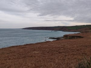 Omonville-la-Rogue par le GR® 223 et jolies vues sur la mer - Hameau Gruchy, La Hague - 2