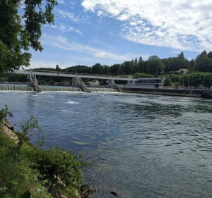 Boucle nature et diversité autour du Mée-sur-Seine - Le Mée-sur-Seine - 2