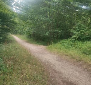 Tour de forêt de Sénart - 18 km - Vigneux-sur-Seine - 2