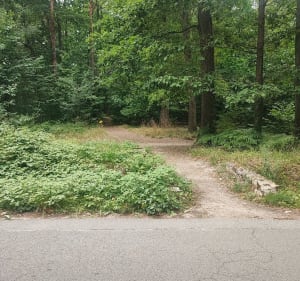 Tour de forêt de Sénart - 18 km - guy - 4