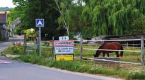 Dansons la Chavenaise, le temps d'une rando - Chavenay - 2
