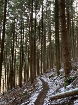 Balade dans les Vosges et ses géants de pierre - Oberhaslach - 3