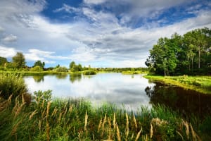 Tranquillité des Chambaran et histoire oubliée - Marnans, Roybon - 2