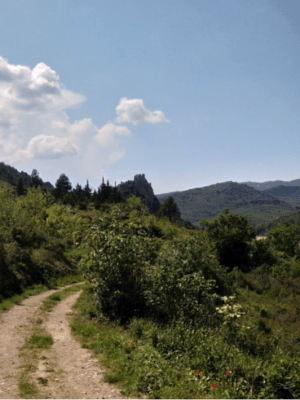 Tour du roc et l'épopée cathare - Padern - 2