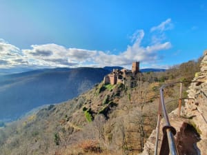 Châteaux de Ribeauvillé et balade sensationnelle en Alsace - Ribeauvillé - 2