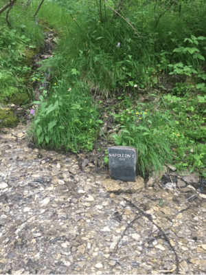 Découverte de Landry et de sa nature savoyarde préservée - Lanslevillard - 2