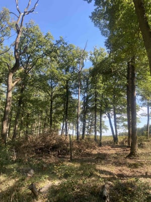 Circuit du gouffre de l'Enfer et secrets des bois - Bougy-lez-Neuville - 2
