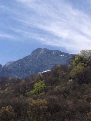 Bois Roland et rêves sur les pas de Rousseau - Seyssinet-Pariset - 2