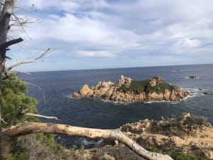 Sentier du littoral et bouffée d'air frais à Ramatuelle - Ramatuelle - 2