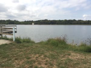 Lac des Dagueys et charmante balade au fil de l'eau - Libourne - 2