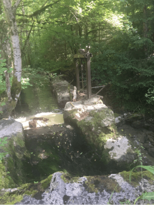 Sentier des mules et forêts de la Chartreuse - Saint-Pierre-d'Entremont - 2
