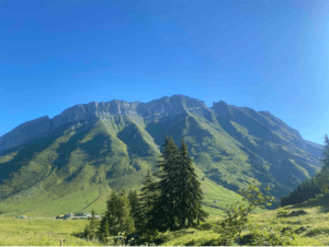 Croix de Stata et flore d'exception aux Aravis - La Giettaz, Annecy - 2