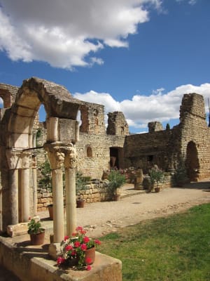 Abbaye de Fontcaude, parfums de vignes et de garrigue - Cazedames - 2