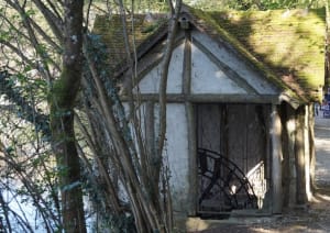 Rives du Loiret et le sentier de la vallée des rois - St Hilaire st Mesmin - 2