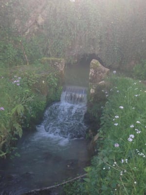 Balade entre Saint-Paul et le charmant Bois Perché - Aspet, Fontagnères - 2