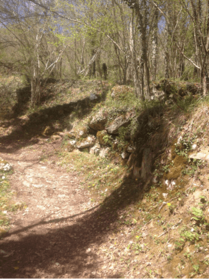 Virée à Roche Ronde et merveilles du pays cathare - Bédeilhac - 3