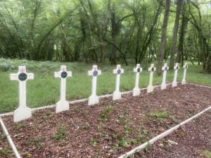 Sentier du Maquis et son vaste passé - Forêt d'Orléans - 2