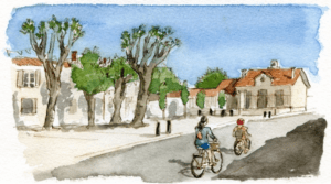 Découvertes autour de la Noue et dessins enchanteurs - Saint-Martin-de-Ré - 2