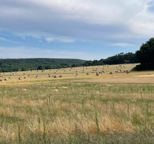 Vtt à Breuillet et ses alentours - Breuillet - 2