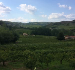 Escapade dans les vallons ardéchois et près du Rhône - Saint-Etienne-de-Valoux - 2